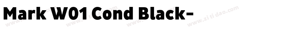 Mark W01 Cond Black字体转换